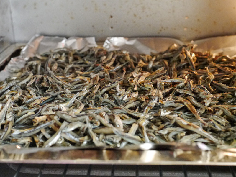 ����è��ʳ����С��ɵ�����