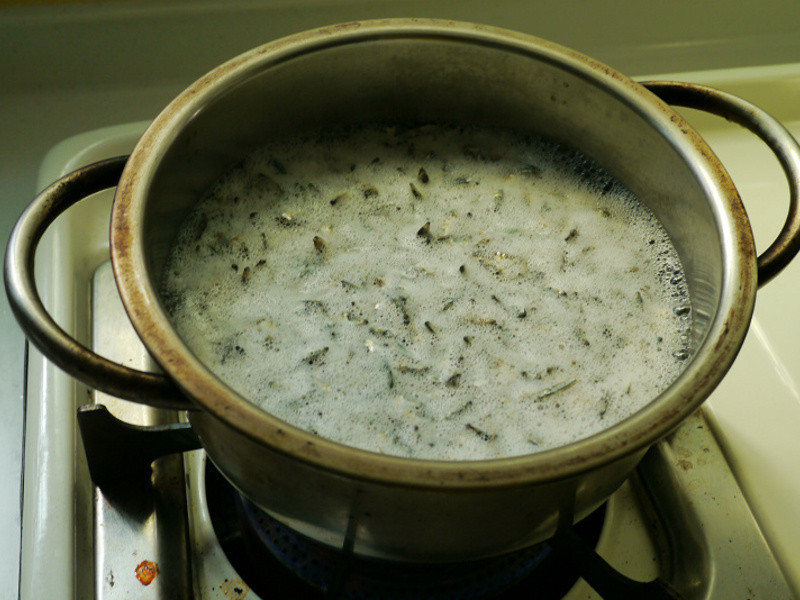 ����è��ʳ����С��ɵ�����