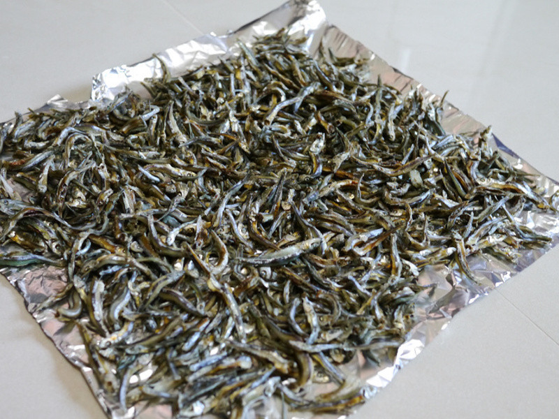 ����è��ʳ����С��ɵ�����