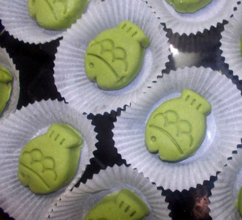 Ҭ���Ƥ�±�������