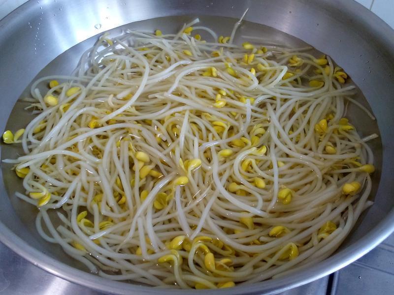 �緹�� �����ѿ������