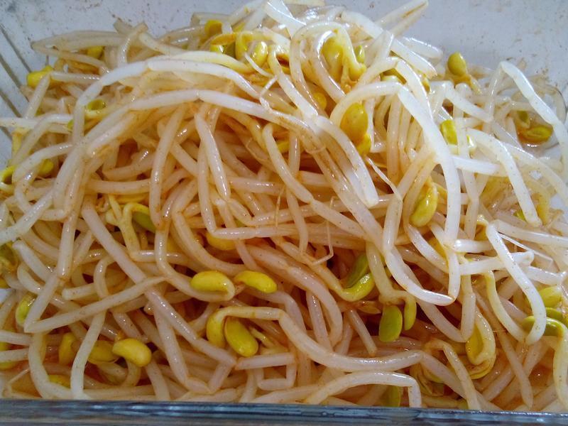 �緹�� �����ѿ������