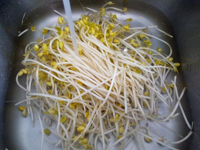 �緹�� �����ѿ������