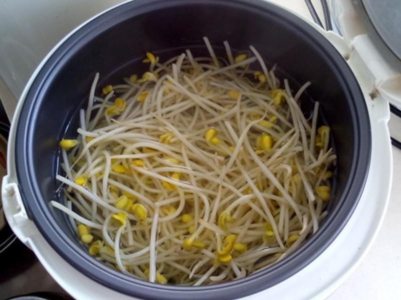 �緹�� �����ѿ������