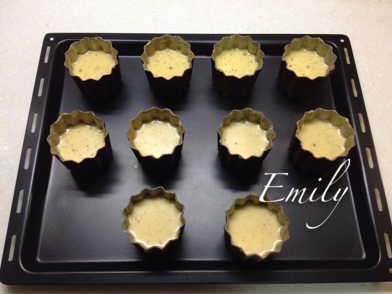 ��ʽ����¶������