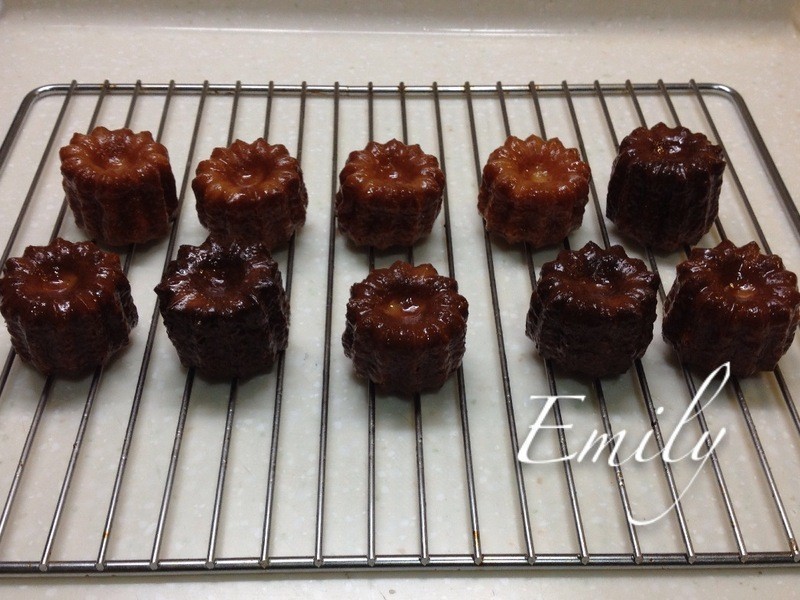 ��ʽ����¶������