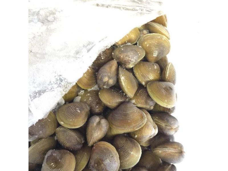 �Z�ո��۵�����