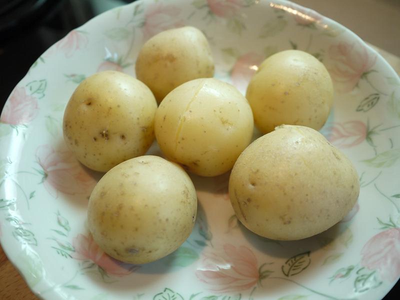 ����������ɳ��������