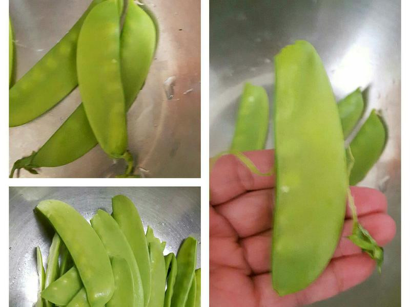 ������˿������������