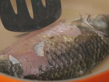 �������������������