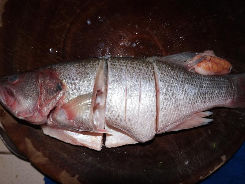 ����������������������