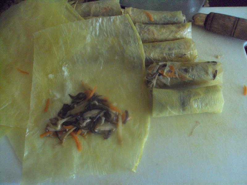 ���빽��Ƥ��������