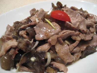 ��������Ƭ������