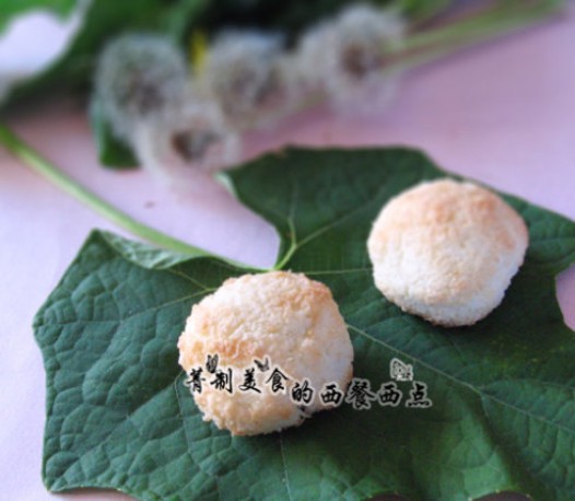 ����Ҭ˿�������