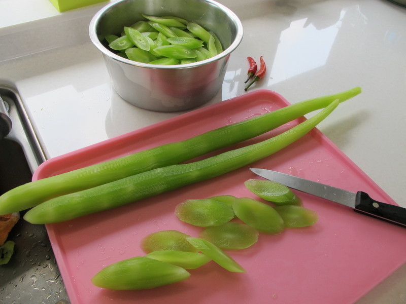 ������ĵ�����