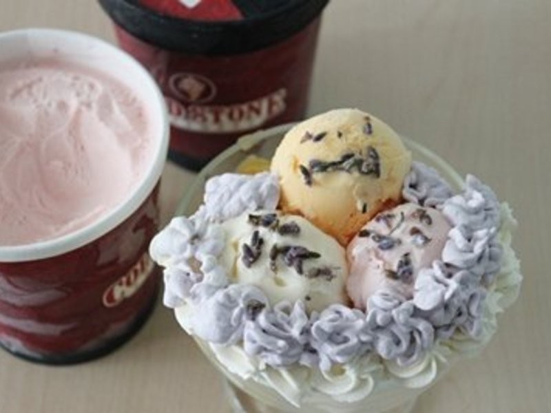 �Դ������Mix & Fun������