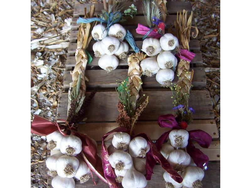 ����������������?????������