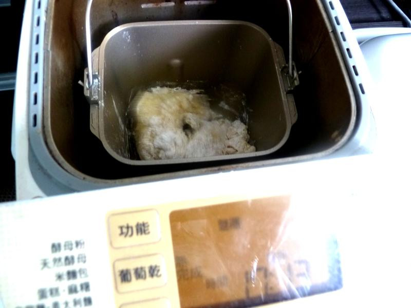 ��ʥ�ڵ��Ǳ��ɵ�����