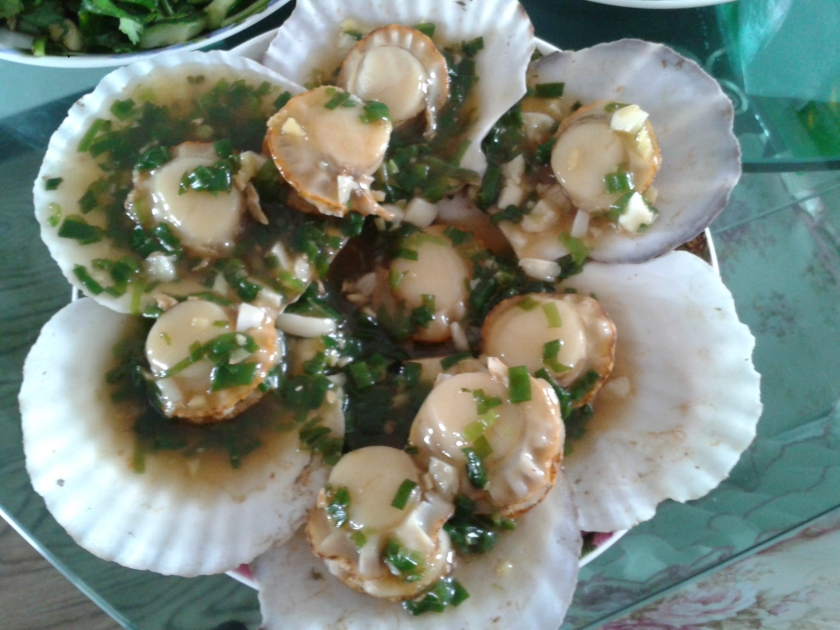 ��֭�ȱ�������