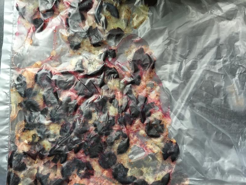 ��ݮ���ɱ�������