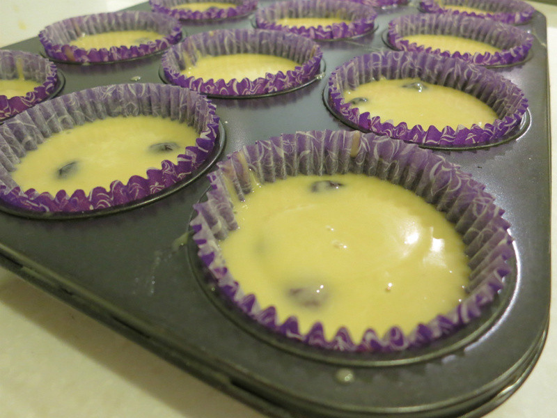 ��ݮ���ӵ��������