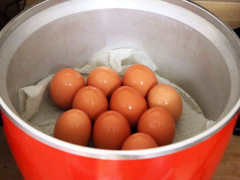 ��ζС�㡫���˲������ĵ�[�����ʤ����]������