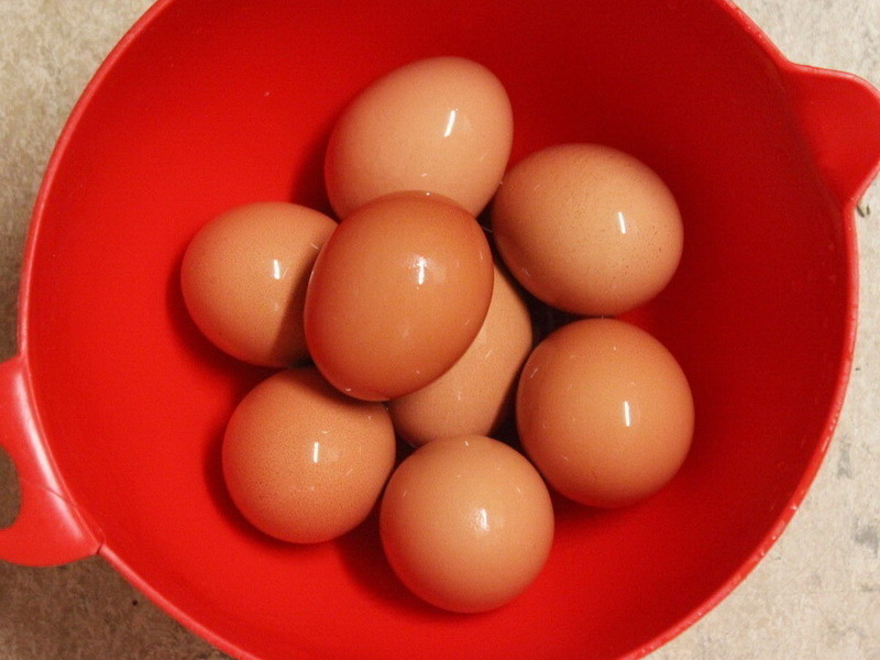 ��ζС�㡫���˲������ĵ�[�����ʤ����]������