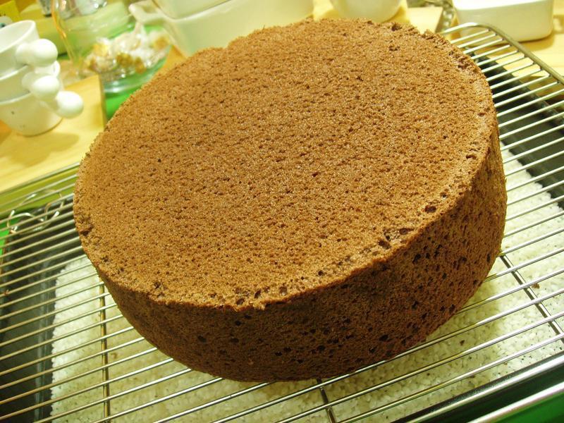 �ɿ���Ůѩ���ݷ絰�������