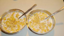 �Ϸ�С��ţ������Ƭ������