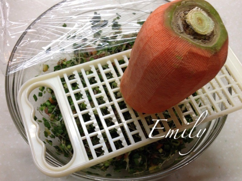 �����ִ�ľ²˺��ӵ�����