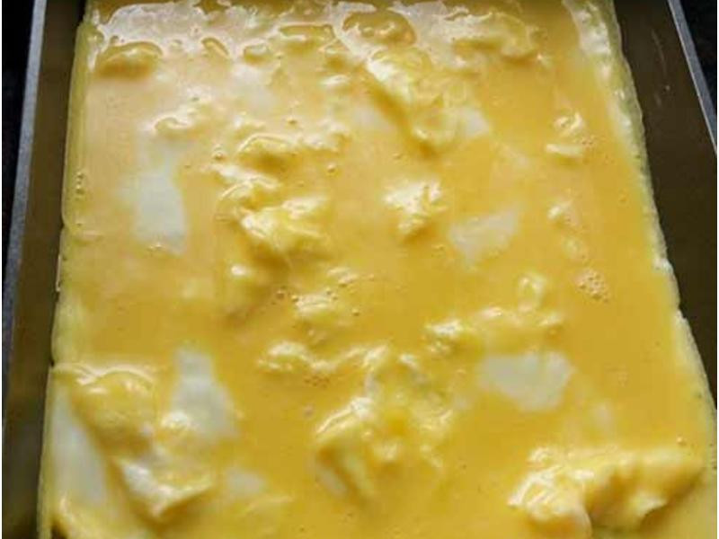 ��˾����ŷķ��������