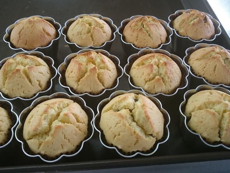 �׾����Ѹ�ţ�̵��������