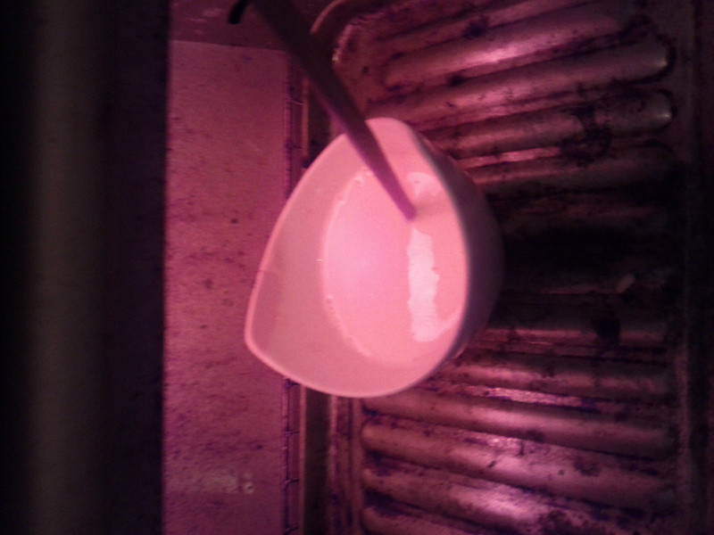 ֥˾��ʥ����˾����Ƭ������