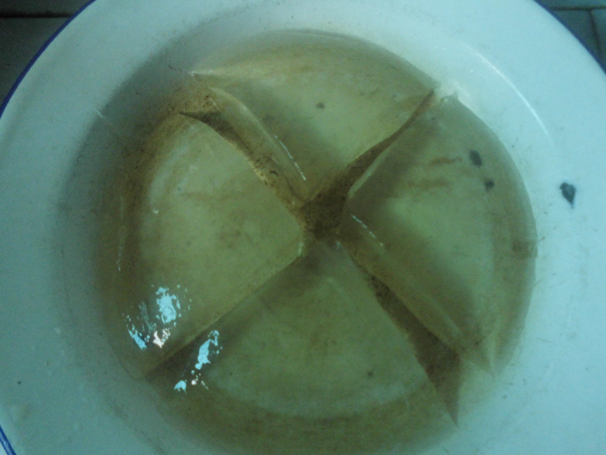 ������۵�����