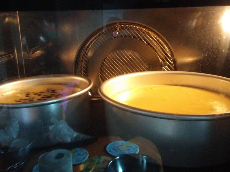 ��ʽŨ��֥ʿ���������