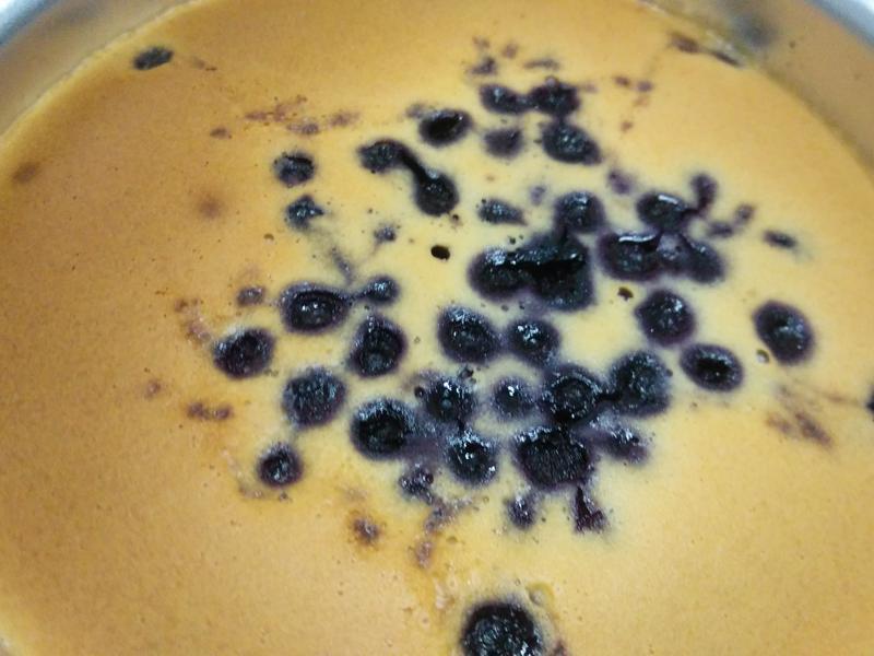 ��ʽŨ��֥ʿ���������