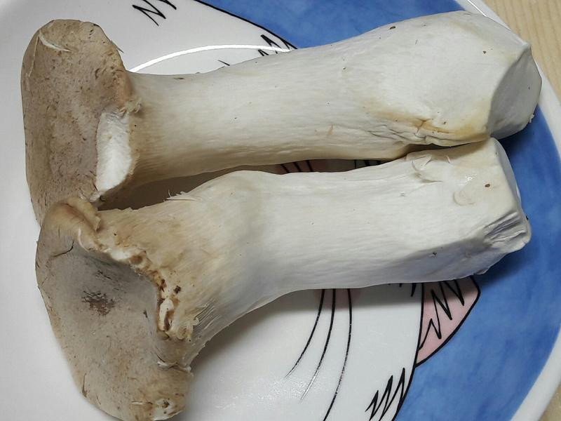 ���ͽ��������ӱ���������