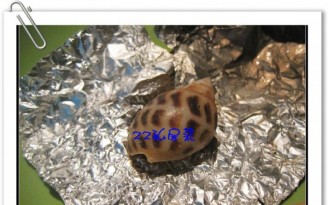 �Οh���ݵ�����