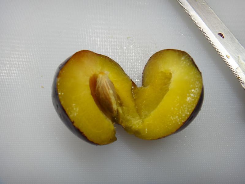 ����̢������