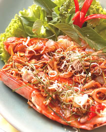 �㿾������Ϻ������