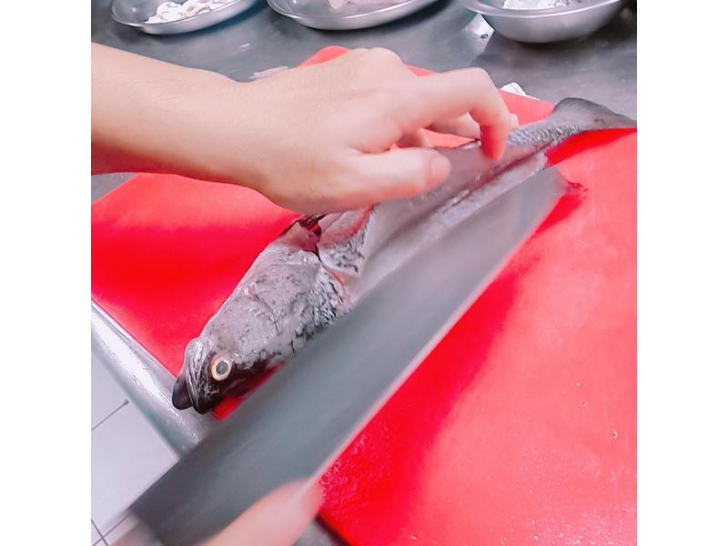 ����Ģ�������ŵ�����