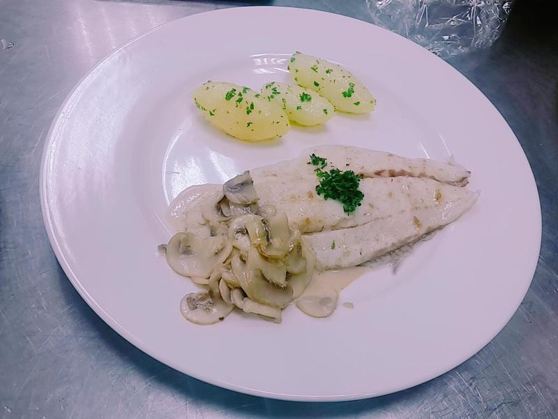 ����Ģ�������ŵ�����