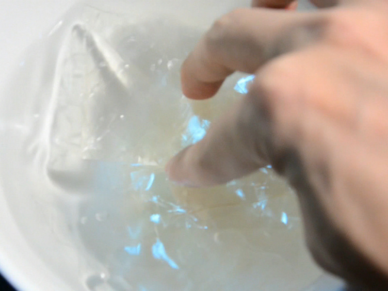 �����ʳ�ס�ɣ������� Panna Cotta with Mulberries������