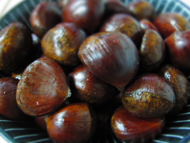 ������ͷ--13��������