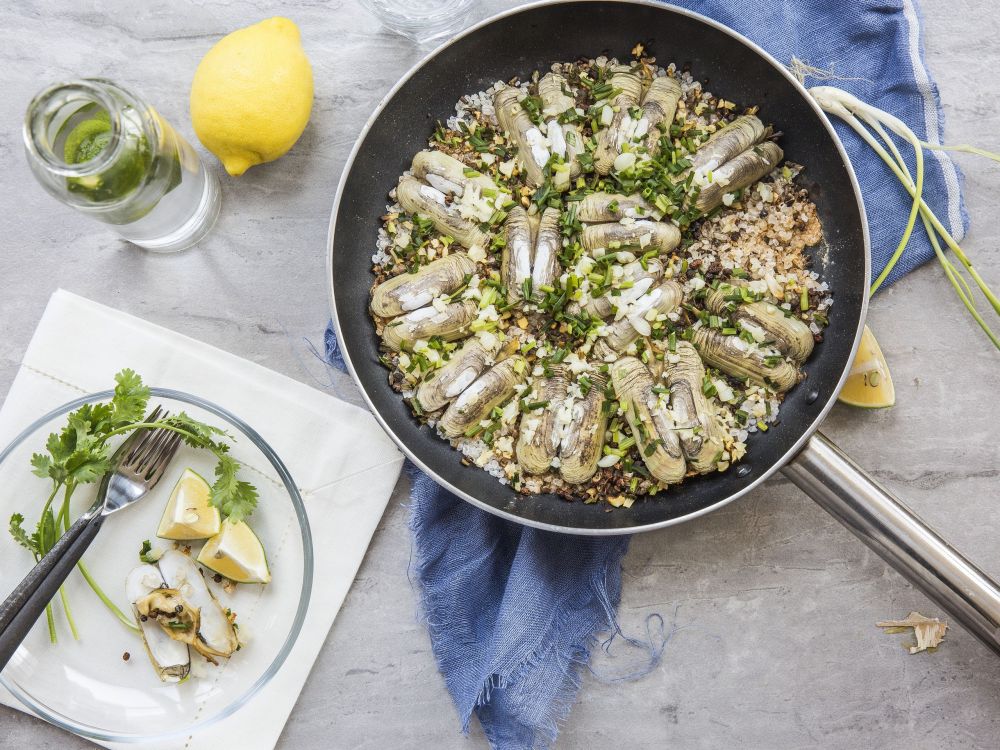 �Οh���ӵ�����