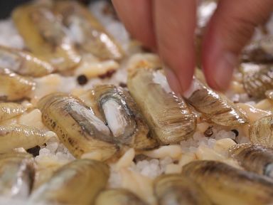 �Οh���ӵ�����