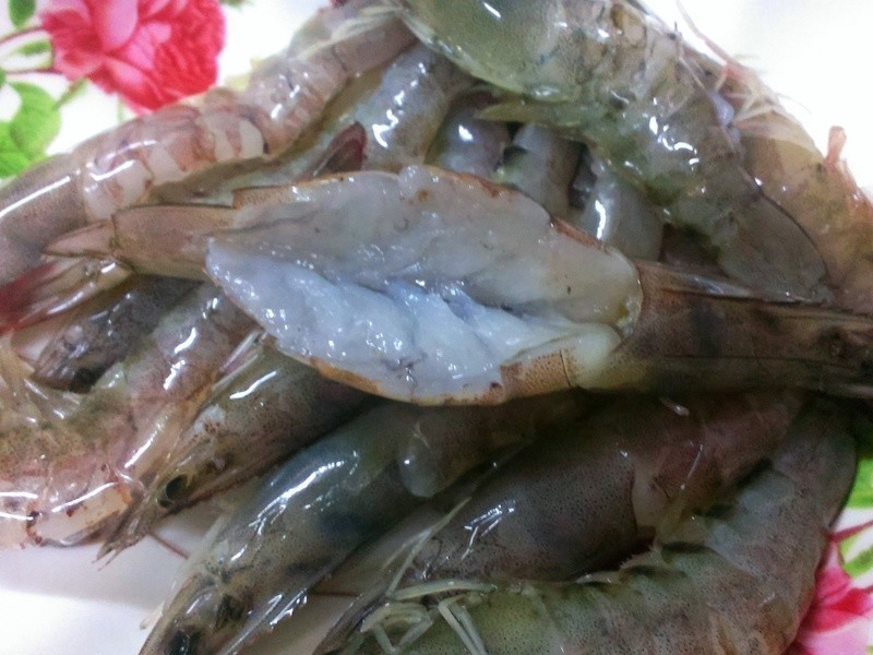 ʮ������������������Ϻ����������