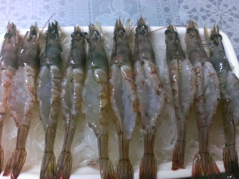 ʮ������������������Ϻ����������