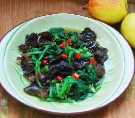 ��Ұľ��������