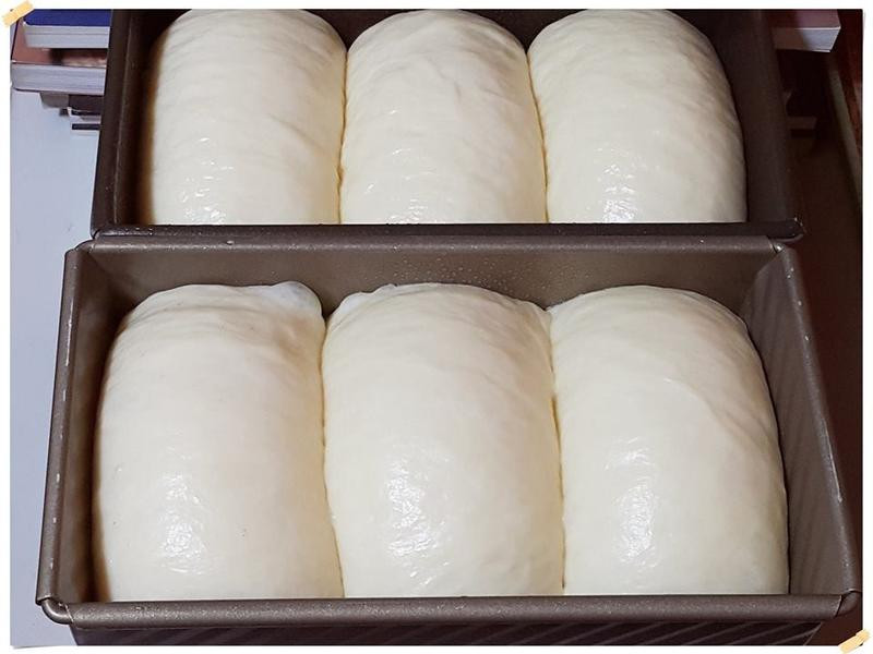 ���Һ��������������˾������